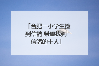 合肥一小学生捡到信鸽 希望找到信鸽的主人