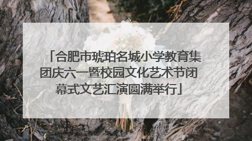 合肥市琥珀名城小学教育集团庆六一暨校园文化艺术节闭幕式文艺汇演圆满举行