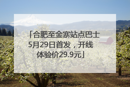 合肥至金寨站点巴士5月29日首发，开线体验价29.9元