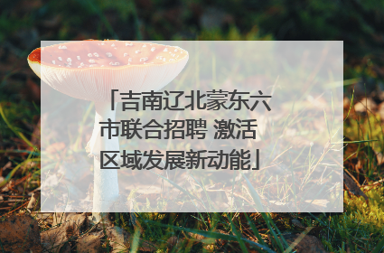 吉南辽北蒙东六市联合招聘 激活区域发展新动能