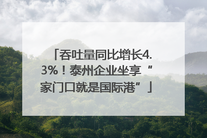 吞吐量同比增长4.3%！泰州企业坐享“家门口就是国际港”