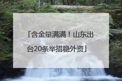 含金量满满！山东出台20条举措稳外资