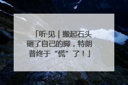 听·见｜搬起石头砸了自己的脚，特朗普终于“慌”了！