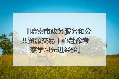 哈密市政务服务和公共资源交易中心赴豫考察学习先进经验