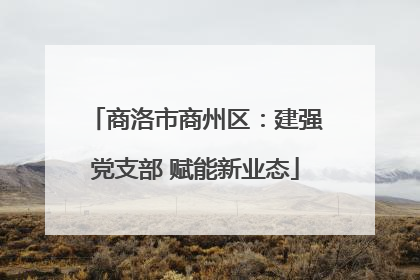 商洛市商州区：建强党支部 赋能新业态