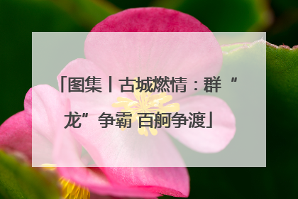 图集丨古城燃情：群“龙”争霸 百舸争渡