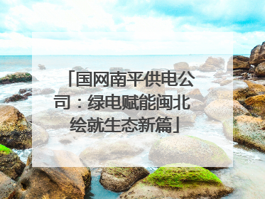国网南平供电公司：绿电赋能闽北 绘就生态新篇
