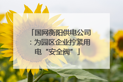 国网衡阳供电公司：为园区企业拧紧用电“安全阀”