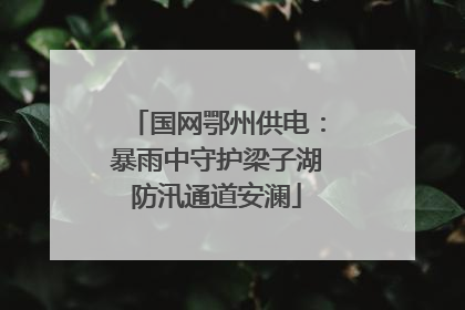 国网鄂州供电：暴雨中守护梁子湖防汛通道安澜