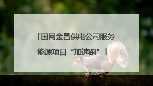 国网金昌供电公司服务能源项目“加速跑”