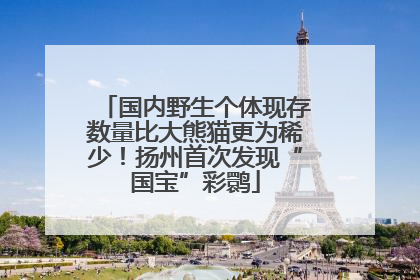 国内野生个体现存数量比大熊猫更为稀少！扬州首次发现“国宝”彩鹮