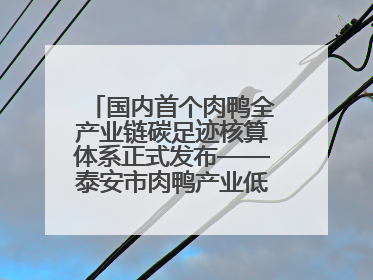 国内首个肉鸭全产业链碳足迹核算体系正式发布——泰安市肉鸭产业低碳发展标准示范项目顺利通过验收