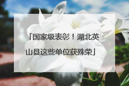 国家级表彰！湖北英山县这些单位获殊荣