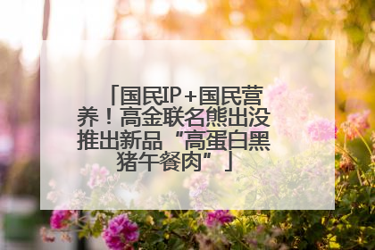 国民IP+国民营养！高金联名熊出没推出新品“高蛋白黑猪午餐肉”