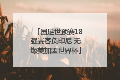 国足世预赛18强赛客负印尼 无缘美加墨世界杯