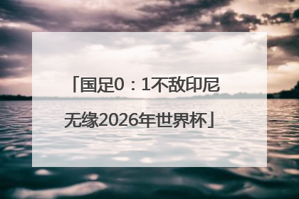 国足0：1不敌印尼 无缘2026年世界杯