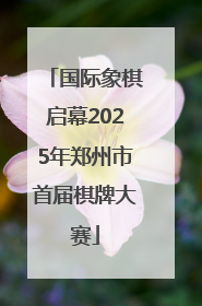 国际象棋启幕2025年郑州市首届棋牌大赛