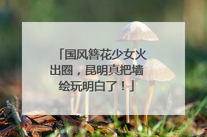 国风簪花少女火出圈，昆明真把墙绘玩明白了！