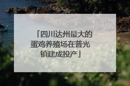 四川达州最大的蛋鸡养殖场在普光镇建成投产