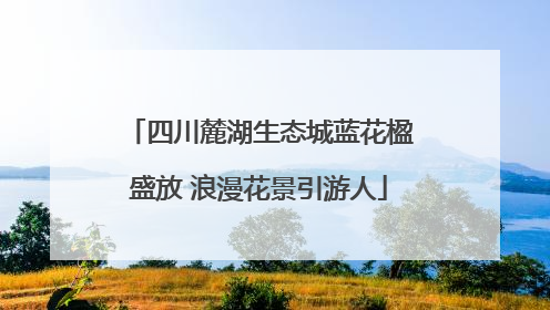 四川麓湖生态城蓝花楹盛放 浪漫花景引游人