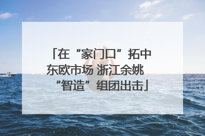 在“家门口”拓中东欧市场 浙江余姚“智造”组团出击