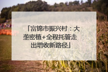 富锦市振兴村：大垄密植+全程托管走出增收新路径