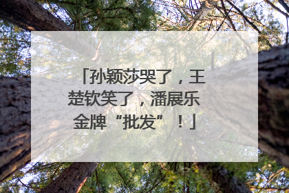 孙颖莎哭了，王楚钦笑了，潘展乐金牌“批发”！