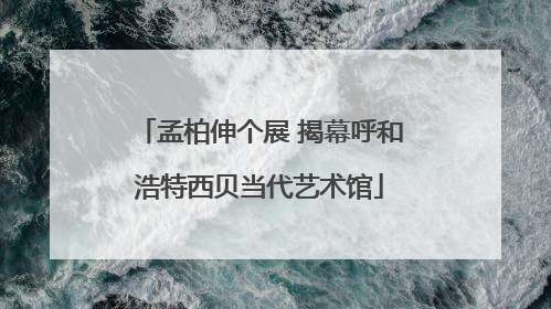 孟柏伸个展 揭幕呼和浩特西贝当代艺术馆