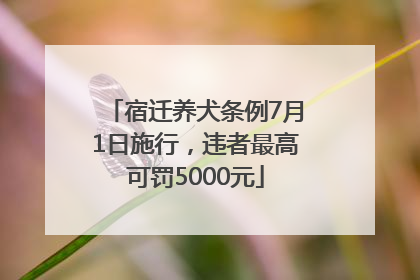 宿迁养犬条例7月1日施行，违者最高可罚5000元