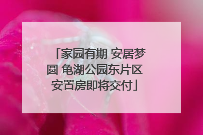 家园有期 安居梦圆 龟湖公园东片区安置房即将交付