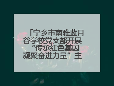 宁乡市南雅蓝月谷学校党支部开展“传承红色基因 凝聚奋进力量”主题党日活动