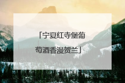 宁夏红寺堡葡萄酒香漫贺兰