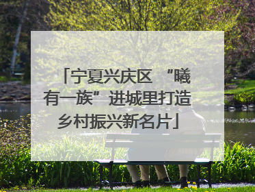 宁夏兴庆区 “曦有一族”进城里打造乡村振兴新名片