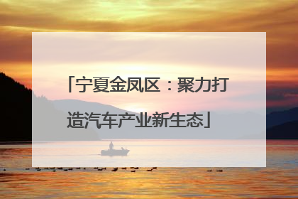 宁夏金凤区：聚力打造汽车产业新生态