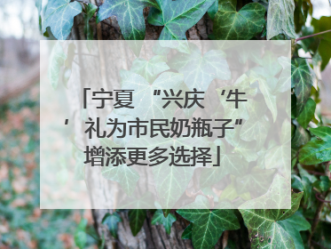 宁夏 “兴庆‘牛’礼为市民奶瓶子”增添更多选择