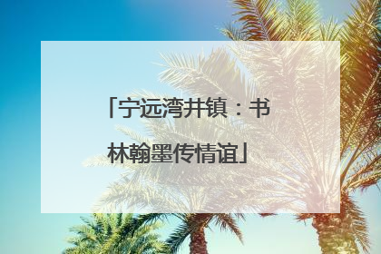 宁远湾井镇：书林翰墨传情谊