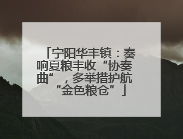 宁阳华丰镇：奏响夏粮丰收“协奏曲”，多举措护航“金色粮仓”