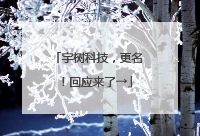 宇树科技，更名！回应来了→