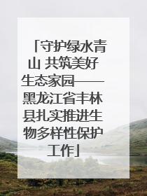 守护绿水青山 共筑美好生态家园——黑龙江省丰林县扎实推进生物多样性保护工作