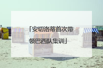 安切洛蒂首次带领巴西队集训