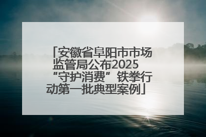 安徽省阜阳市市场监管局公布2025“守护消费”铁拳行动第一批典型案例