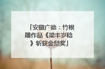 安徽广德：竹根雕作品《梁丰岁稔》斩获金鼎奖