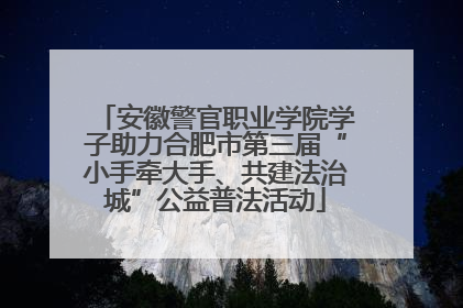 安徽警官职业学院学子助力合肥市第三届“小手牵大手、共建法治城”公益普法活动