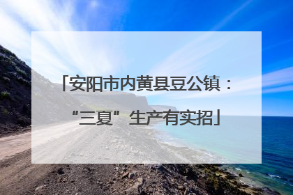 安阳市内黄县豆公镇：“三夏”生产有实招