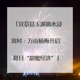 宜章县玉溪镇水浸窝村：万亩杨梅开启夏日“甜蜜经济”