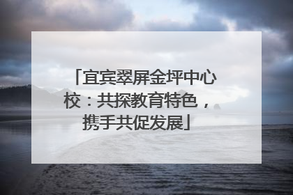 宜宾翠屏金坪中心校：共探教育特色，携手共促发展