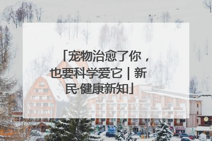 宠物治愈了你，也要科学爱它｜新民·健康新知
