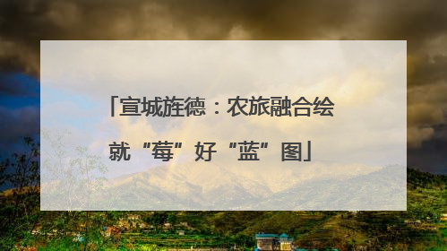 宣城旌德：农旅融合绘就“莓”好“蓝”图