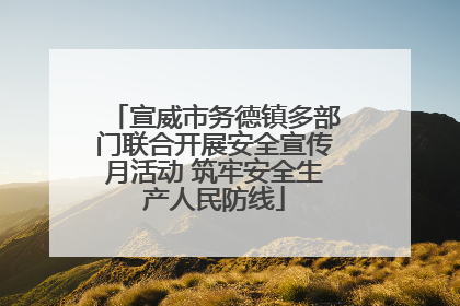 宣威市务德镇多部门联合开展安全宣传月活动 筑牢安全生产人民防线