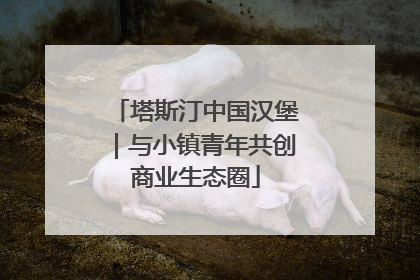 塔斯汀中国汉堡｜与小镇青年共创商业生态圈